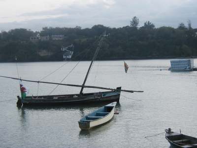 Boats at dawn_note the SA flag