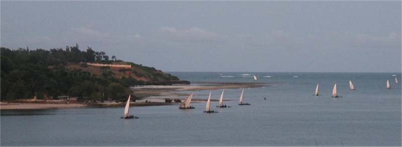 Fishing dhows returning at sunset